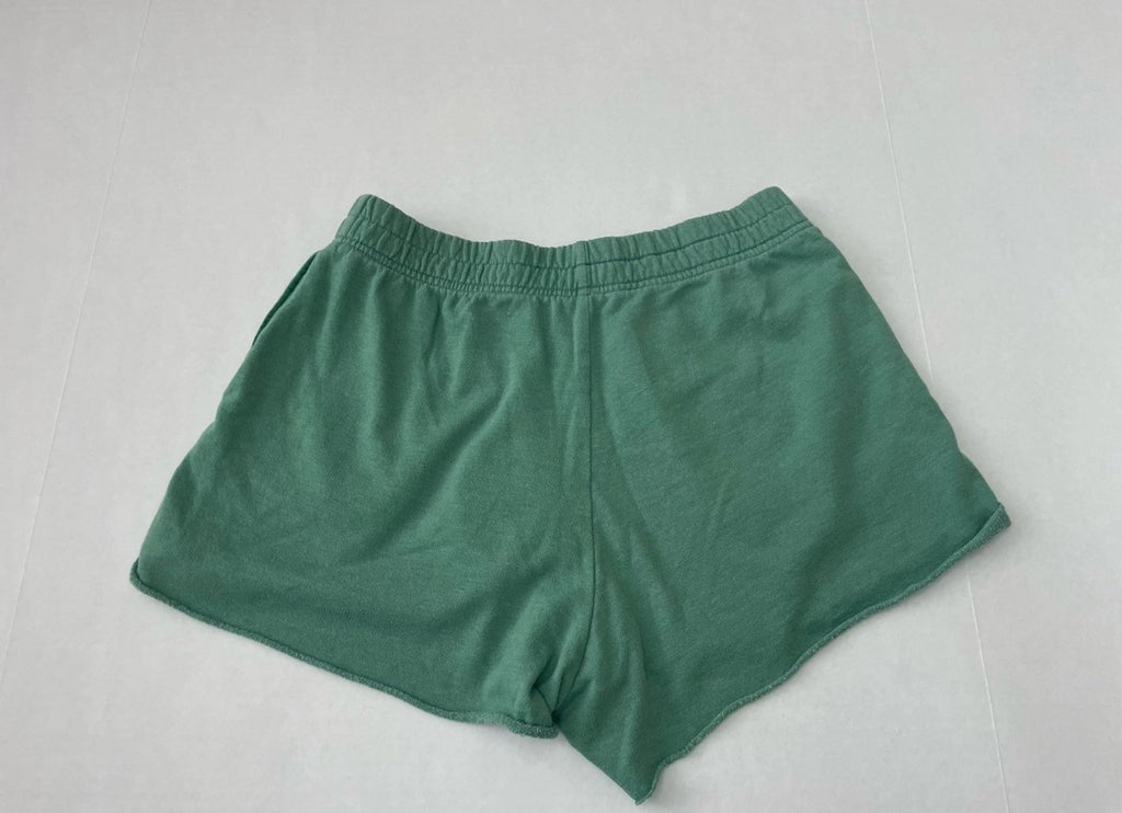 Pacsun Shorts Small Green Polyester