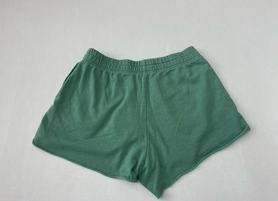 Pacsun Shorts Small Green Polyester