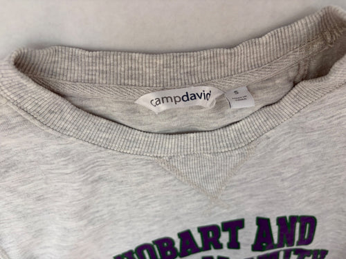 campdavid Sweatshirts/Hoodies Small Heather Gray Cotton and Polyester blend with fleece lining